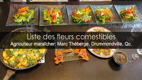 Liste des fleurs comestibles