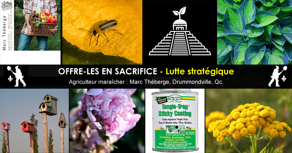 Insecticides biologiques