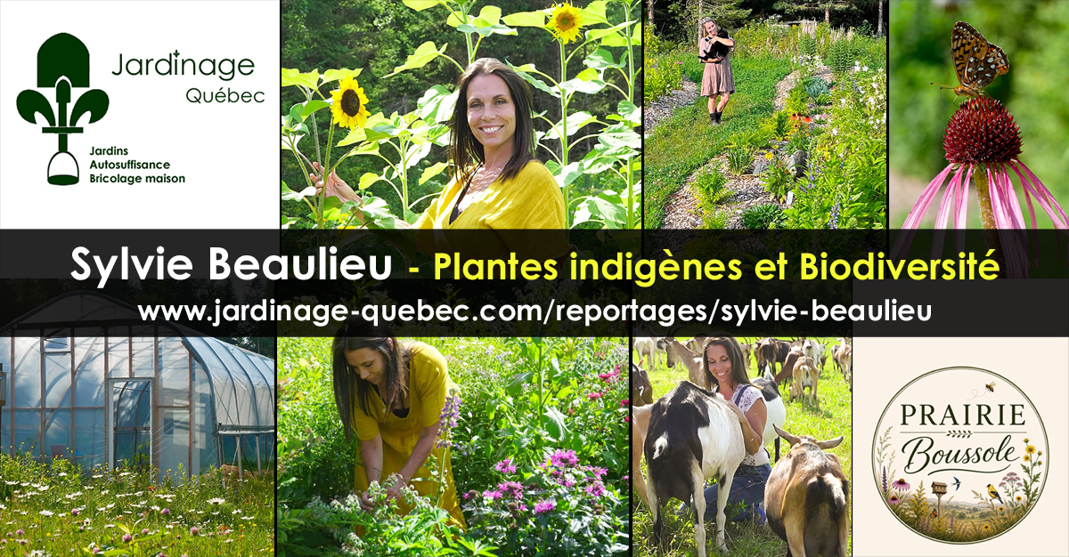 Sylvie Beaulieu - Collaboratrice de Jardinage Bricolage Autosuffisance Recyclage Québec
