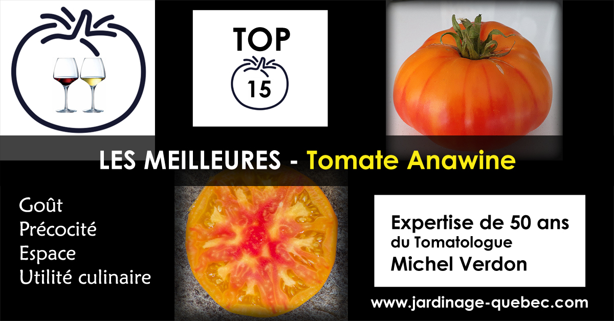 Tomate Anawine