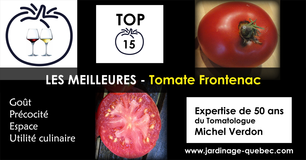 Tomate Frontenac