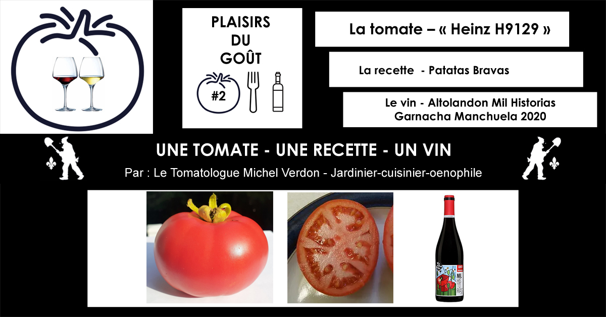 Tomate Heinz H9129 - Recette Patatas Bravas - Vin Altolandon Mil Historias Garnacha Manchuela 2020