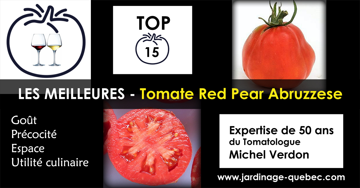 Tomate Red Pear Abruzzese