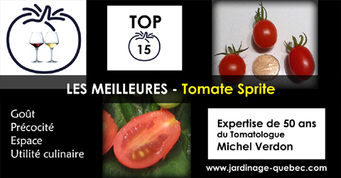 Tomate Sprite