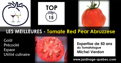 Tomate Red pear Abruzzese