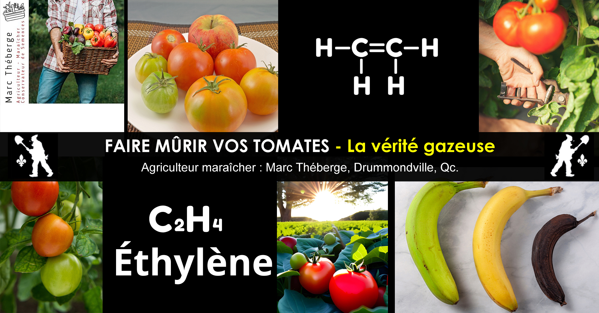 Tomates qui ne Mûrissent pas Truc du Gaz d