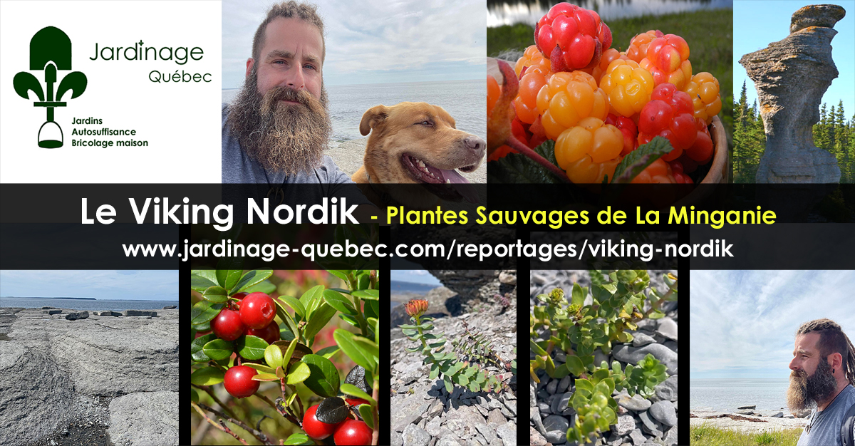 Le Viking Nordik - Mike Lebrun Noël collaborateur Jardinage Autosuffisance Québec