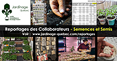 Articles sur les semences et semis