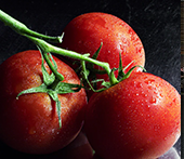 Semences de tomates