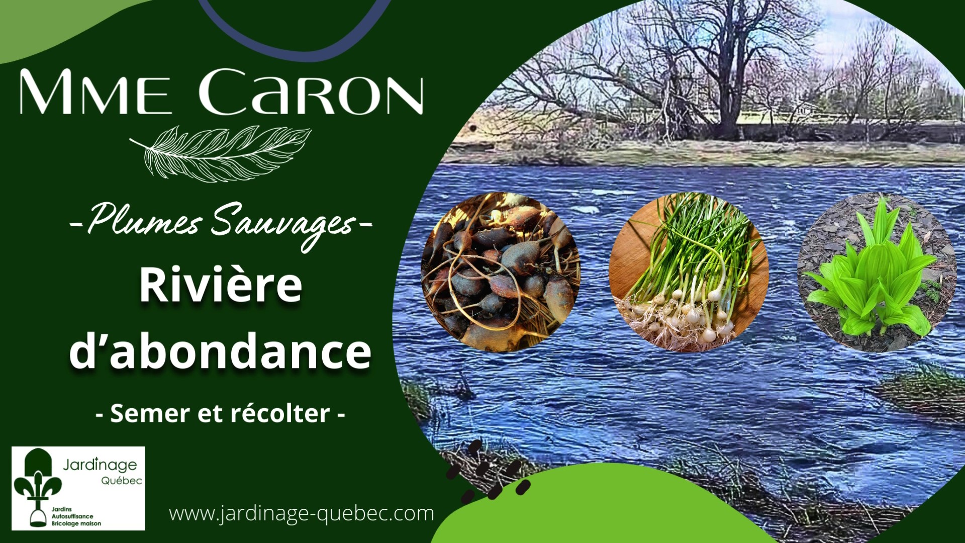 Ail du Canada - Tabac du Diable - Patates-en-chapelet - Chicorée sauvage