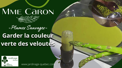 Comment garder la couleur verte des veoultés verts