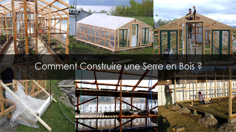 Étapes de construction d'une serre en bois