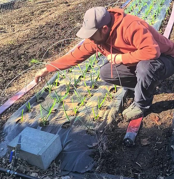 Fixer le deuxième bout d'un arceau pour voilage anti-insectes