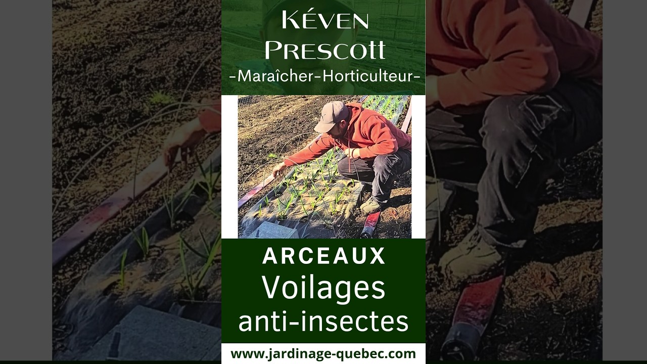 Installer des arceaux anti-insectes efficacement pour protéger ail, oignons et poireaux
