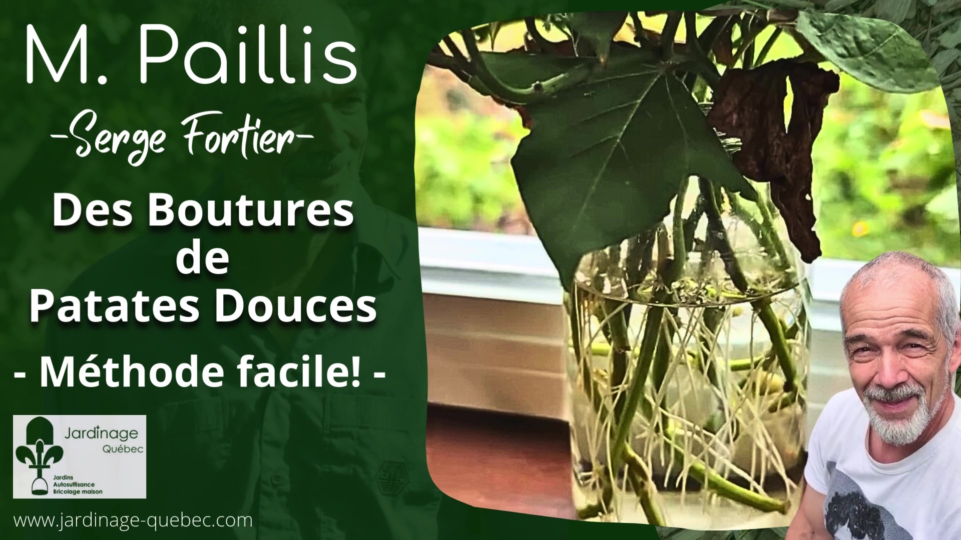 Patates douces