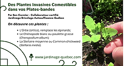 Plantes invasives