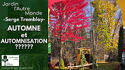 Jardin en automne - Entretien et préparation pour l’hiver