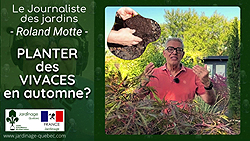 Vivaces - Plantation en automne : Conseils et variétés