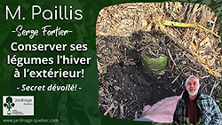 Conservation des légumes à l'extérieur en hiver et récolte au printemps