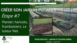 Jardin Potager - Semer les haricots et planter les framboisiers