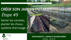 Jardin Potager - Semer des Carottes et Planter des choux
