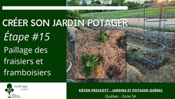 Jardin Potager - Planter les fraisiers et les framboisiers