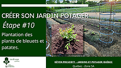 Jardin Potager - Planter des bleuetiers