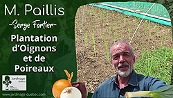 Planter des oignons et poireaux