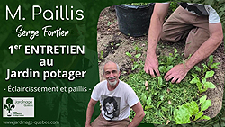Premier entretien des betteraves et des carottes - Stratégies