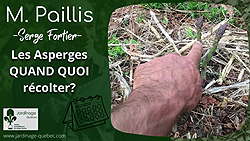 Asperges