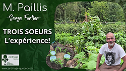 Les Trois Soeurs - Résultat de mon expérience au potager