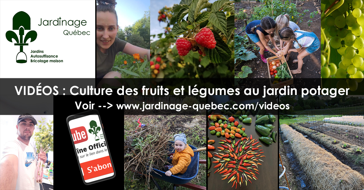 Fruits et légumes