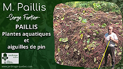 Paillis de plantes aquatiques et d'aiguilles de pin