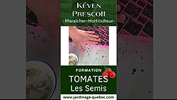 Semis de tomates à l’intérieur : méthode simple