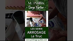 Comment arroser des semis sans déplacer les graines grâce à une astuce simple