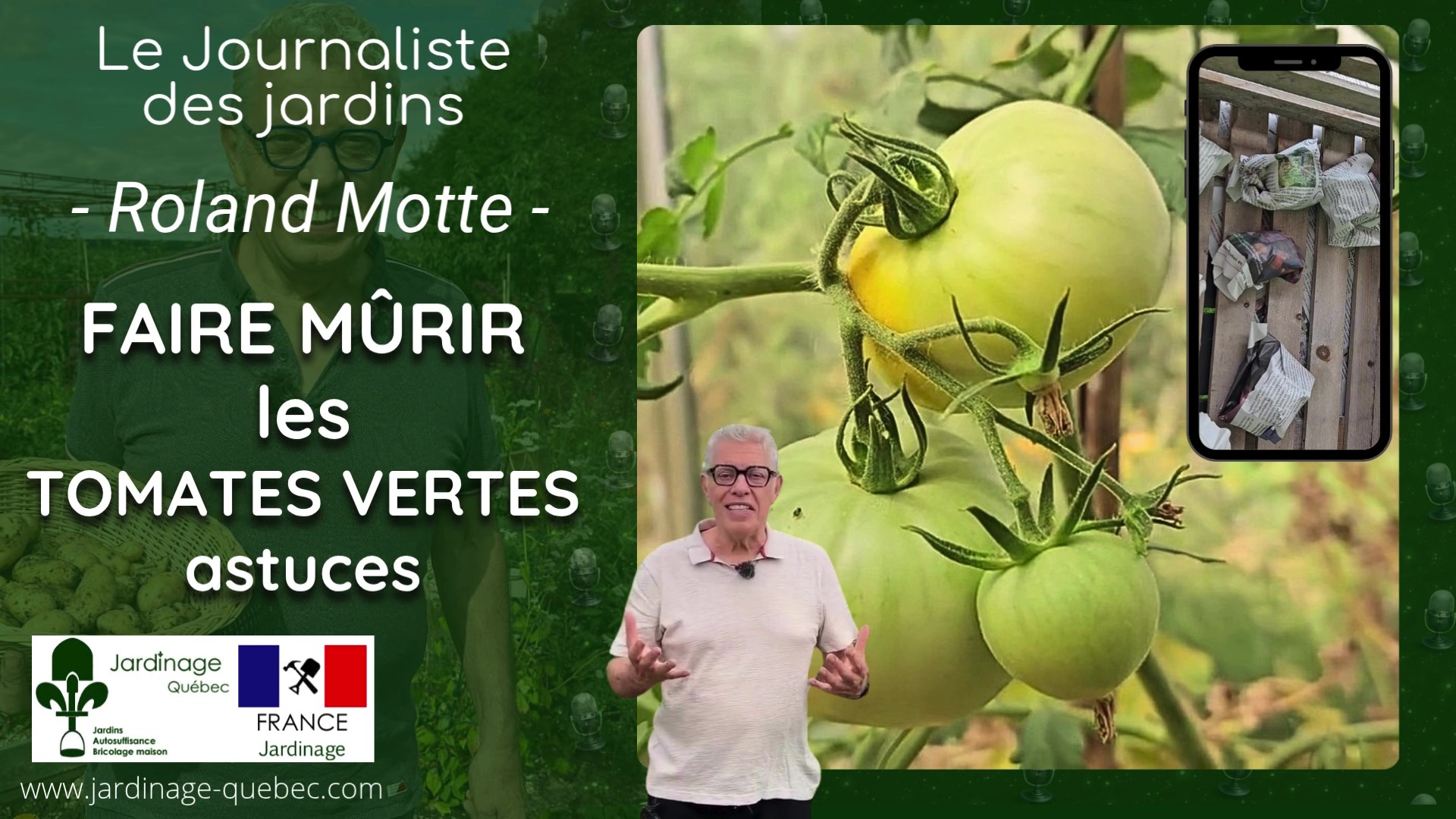 COMMENT FAIRE MÛRIR DES TOMATES VERTES