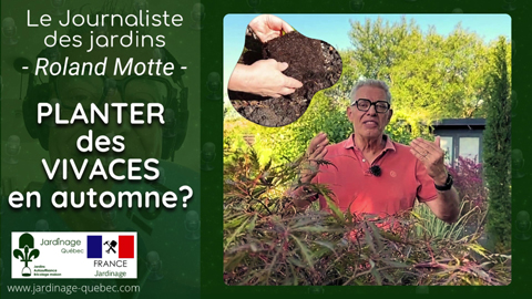 Planter des vivaces en automne : Conseils et variétés