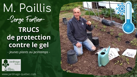 Protéger les plantes du gel - Trucs de protection faciles