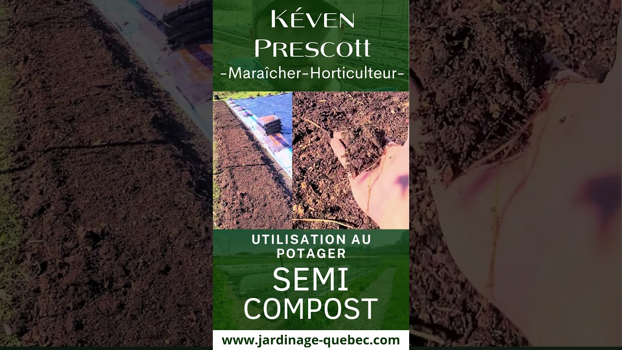COMPOST DE FEUILLES : COMMENT AMÉLIORER LA TERRE DU POTAGER GRATUITEMENT?