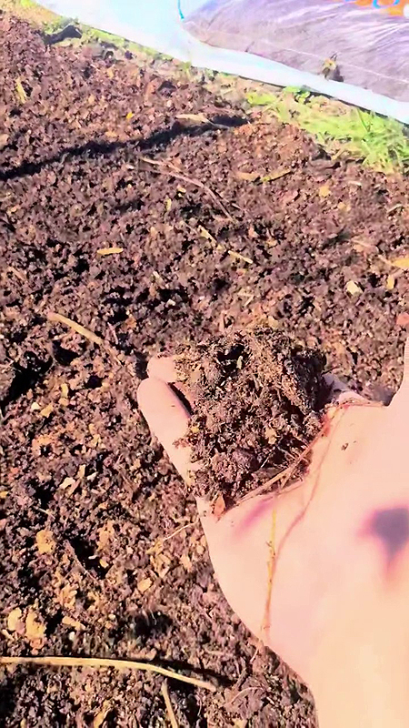 Semi-compost de Kéven Prescott