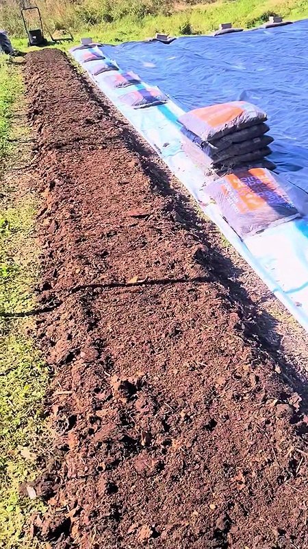 Utilisation du semi-compost au potager