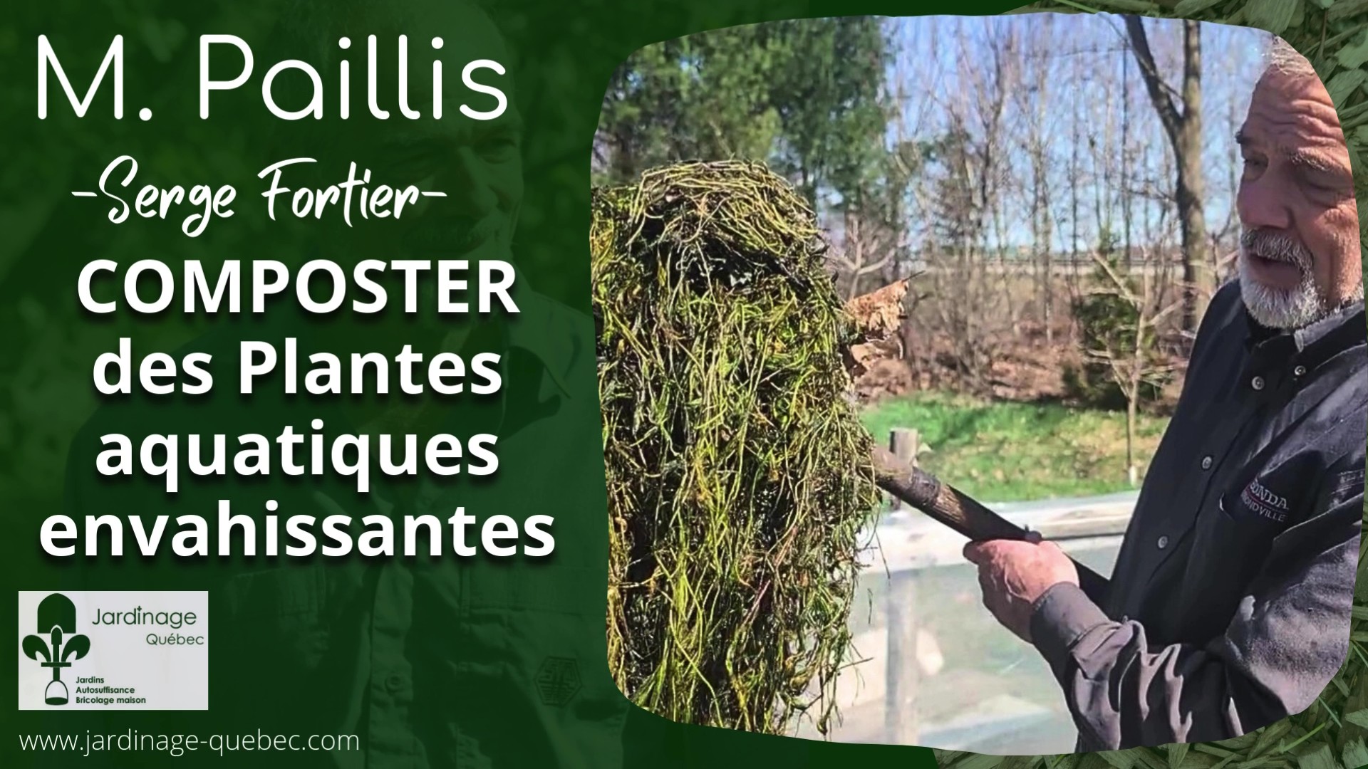 Plantes aquatiques envahissantes