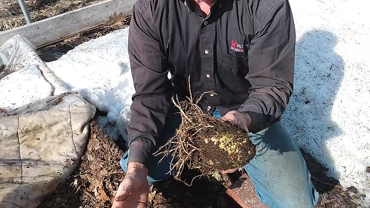 Découvertes de légumes frais bien conservés