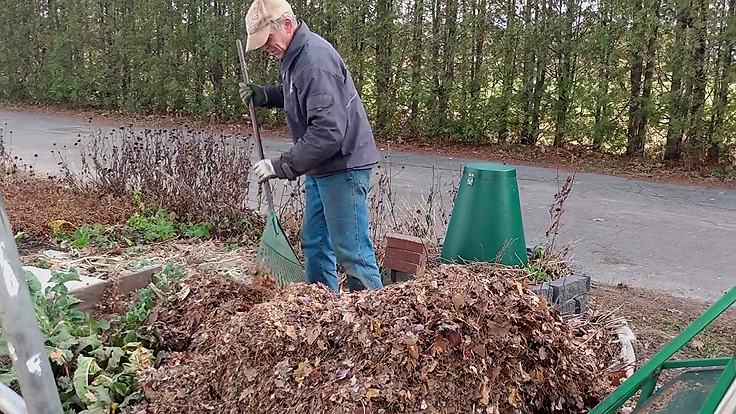 Conservation des légumes en hiver