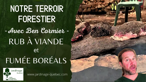 Rub à la viande et fumée boréals