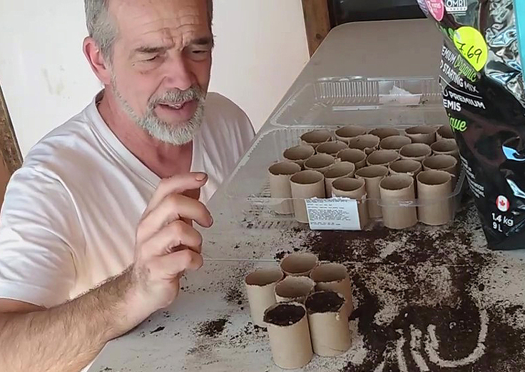 Contenants pour semis - rouleaux de papier toilette