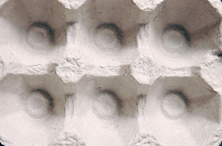 Boîte à oeufs - contenants pour semis