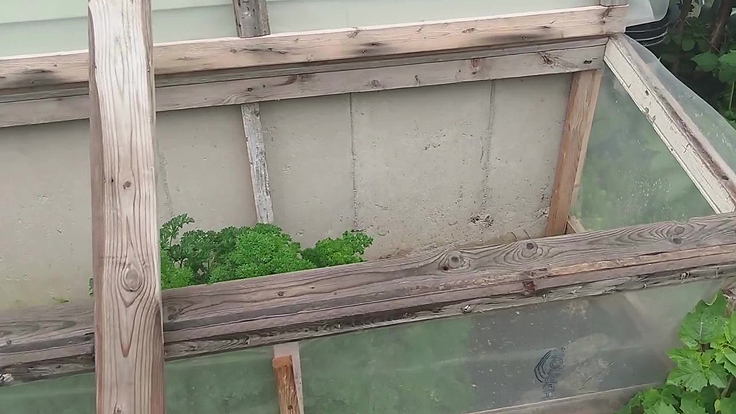 Couche froide : récolter des légumes jusqu’en décembre facilement