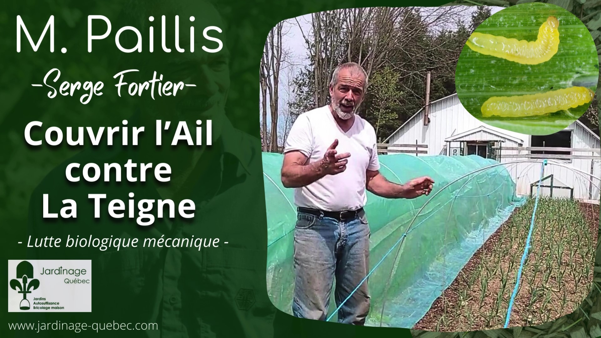 Filet pour protéger l'ail contre la teigne