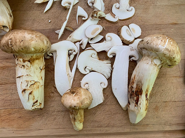 Retirer les vers des champignons Matsutakés